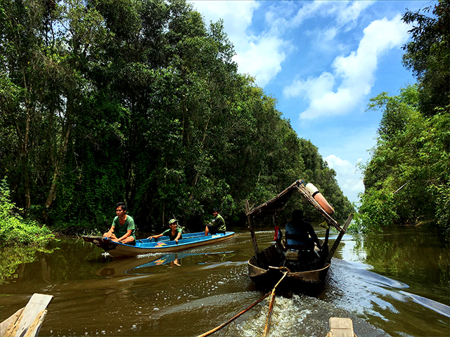 Mùa cánh chim lạc loài