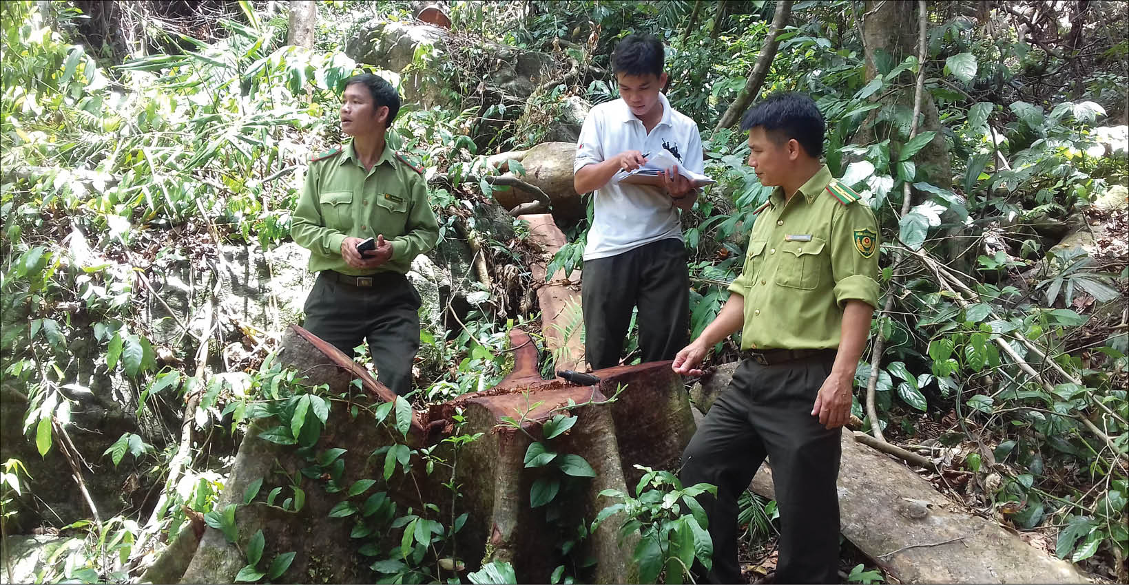 Sau vụ việc rừng đặc dụng Phong Điền bị xâm hại  Tăng cường các lực lượng tuần tra, bảo vệ