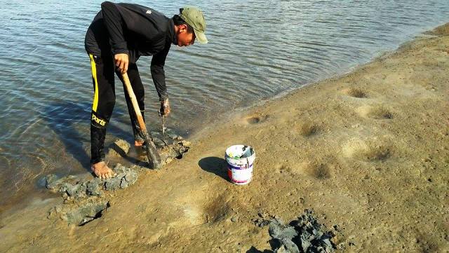 Khai thác trùn biển trái phép