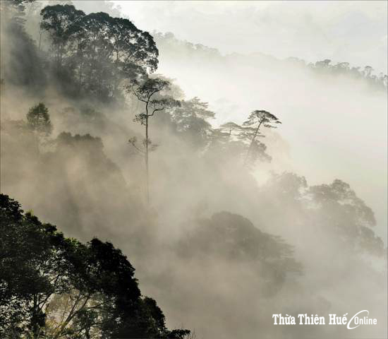 Từ Sơn Trà nghĩ về Bạch Mã