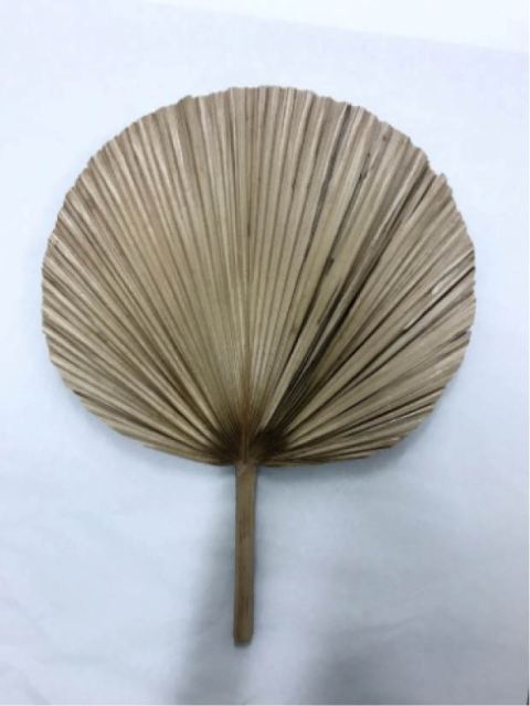 Exhibiting original memorabilia about Uncle Ho