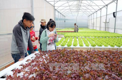 Hàng ngàn doanh nghiệp nông nghiệp đang đói vốn