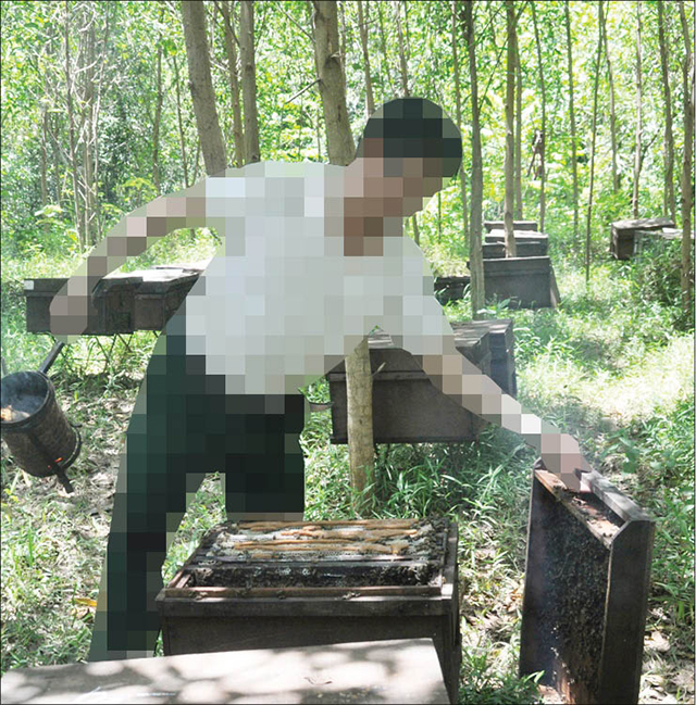 Con ong giữa vòng “lệ phí”