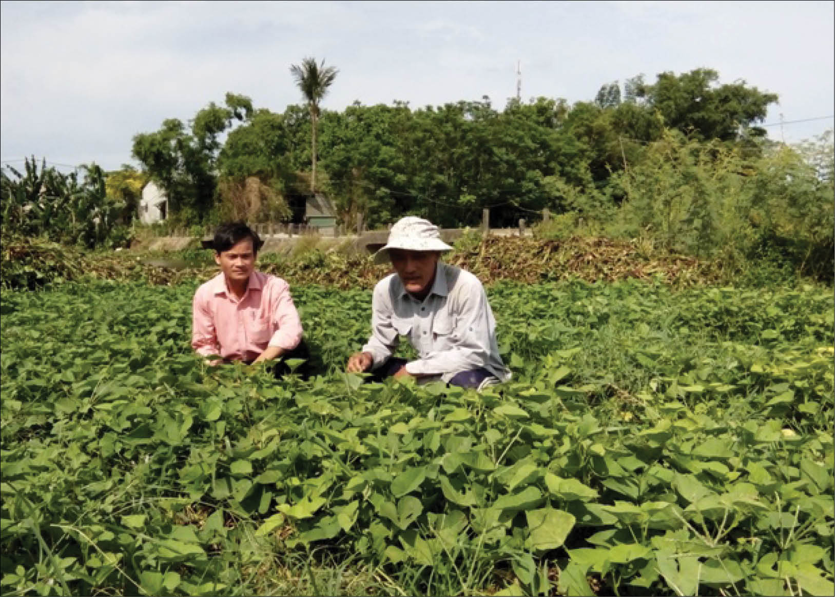 Đảng bộ xã Phú Mậu Cán bộ miệng nói, tay làm