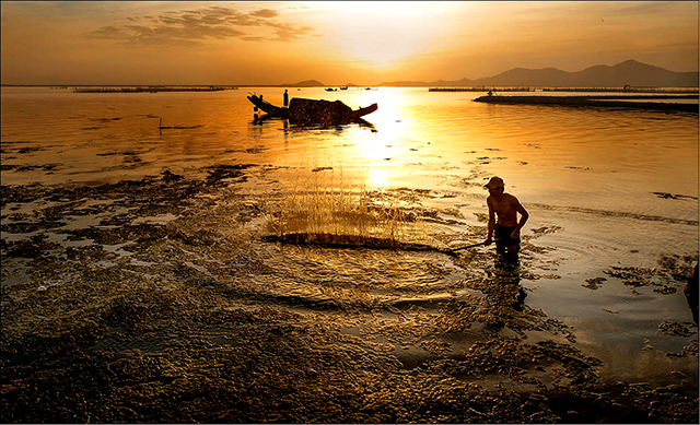A dream for Tam Giang