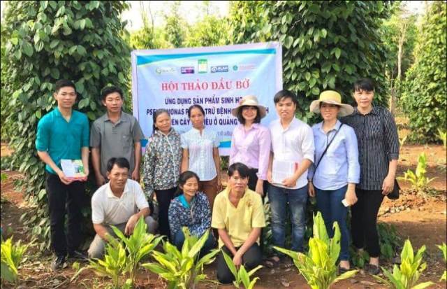 Khẳng định vai trò và chỗ đứng