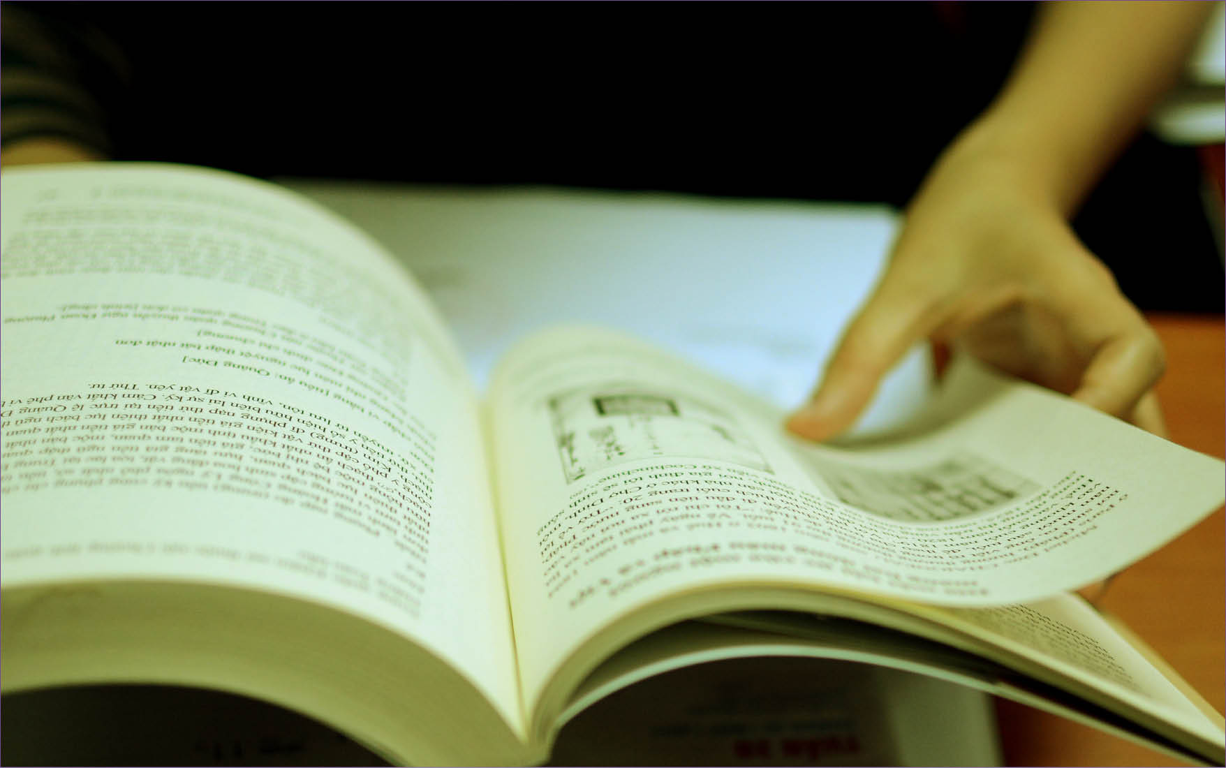 Cảo thơm lần giở…