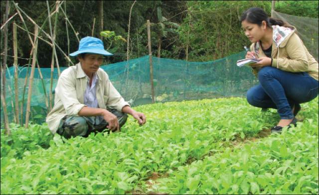 Khi năng lực lãnh đạo của chi bộ được phát huy
