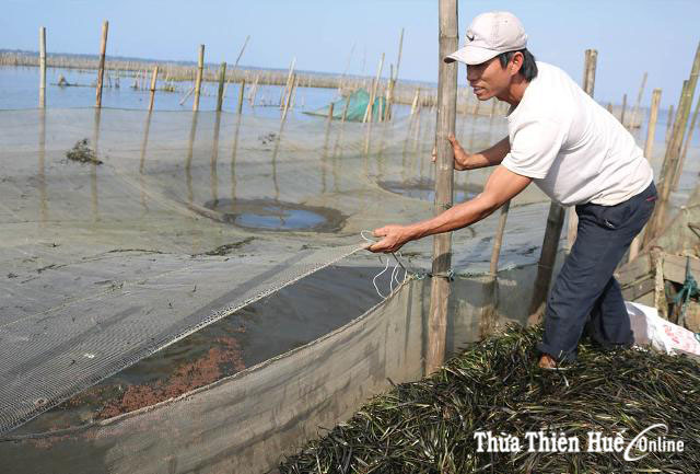 Tạo động lực phát triển du lịch ở Quảng Lợi