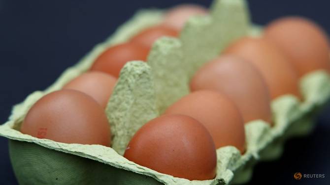 Trứng nhiễm độc Fipronil được nhập khẩu tràn lan vào thị trường châu Âu