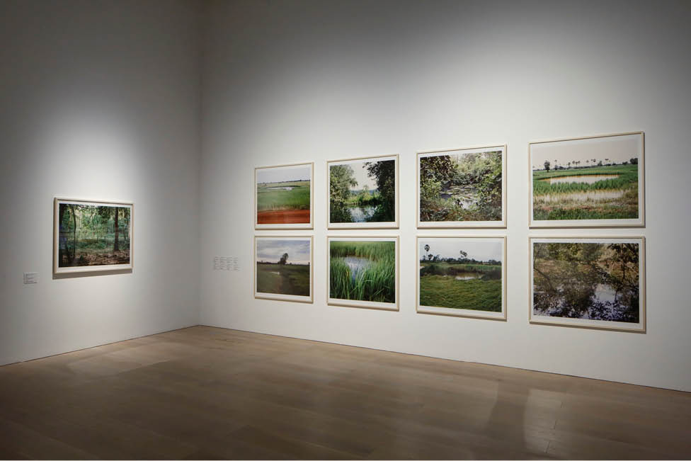 Triển lãm Đông Nam Á ở Nhật Bản