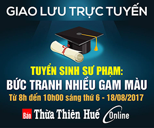 Tuyển sinh Sư phạm Bức tranh nhiều gam màu