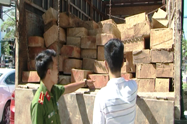 Bắt giữ ô tô tải vận chuyển 4m3 gỗ lậu