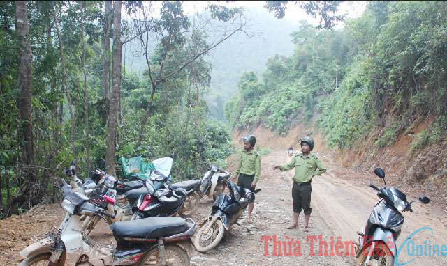 5 7 million USD for the project of forest management and protection