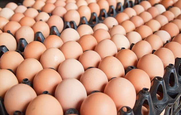 Hàn Quốc tiêu huỷ gần 7 triệu quả trứng nhiễm độc