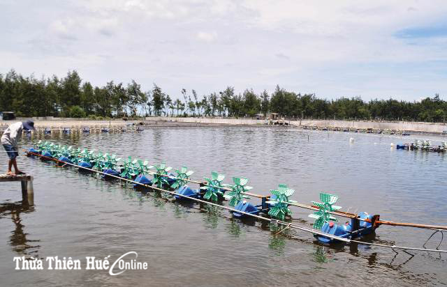 Đảng bộ xã Phong Hải Lãnh đạo triển khai các phong trào hiệu quả