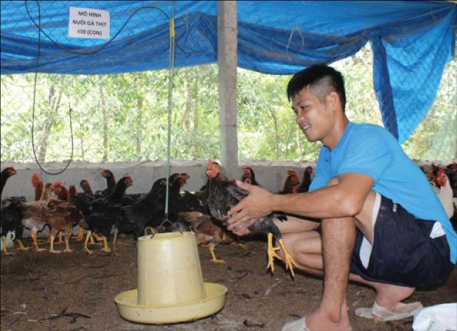 Nghị lực  thành công