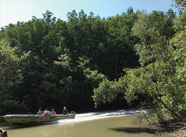 Cần giờ ở… Cần Giờ