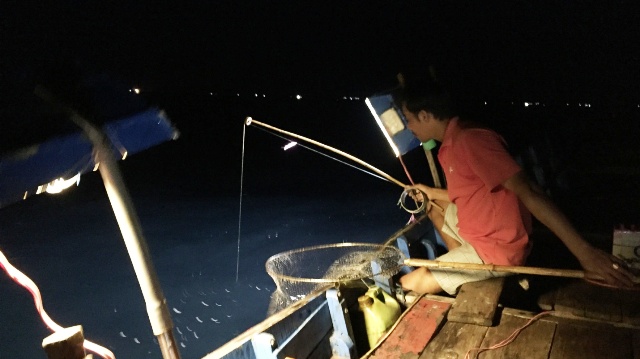 Squid fishing at night