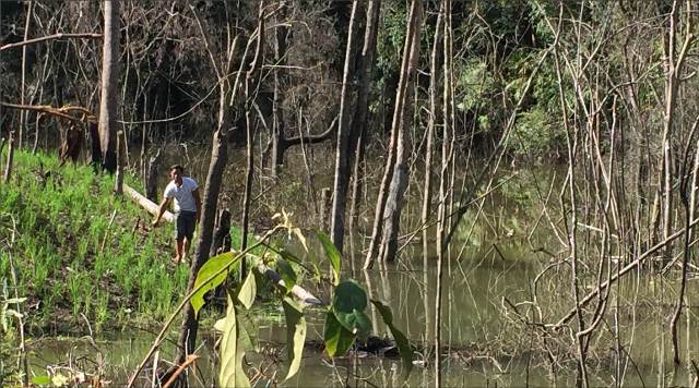 Cần đến hiện trường để kiểm tra