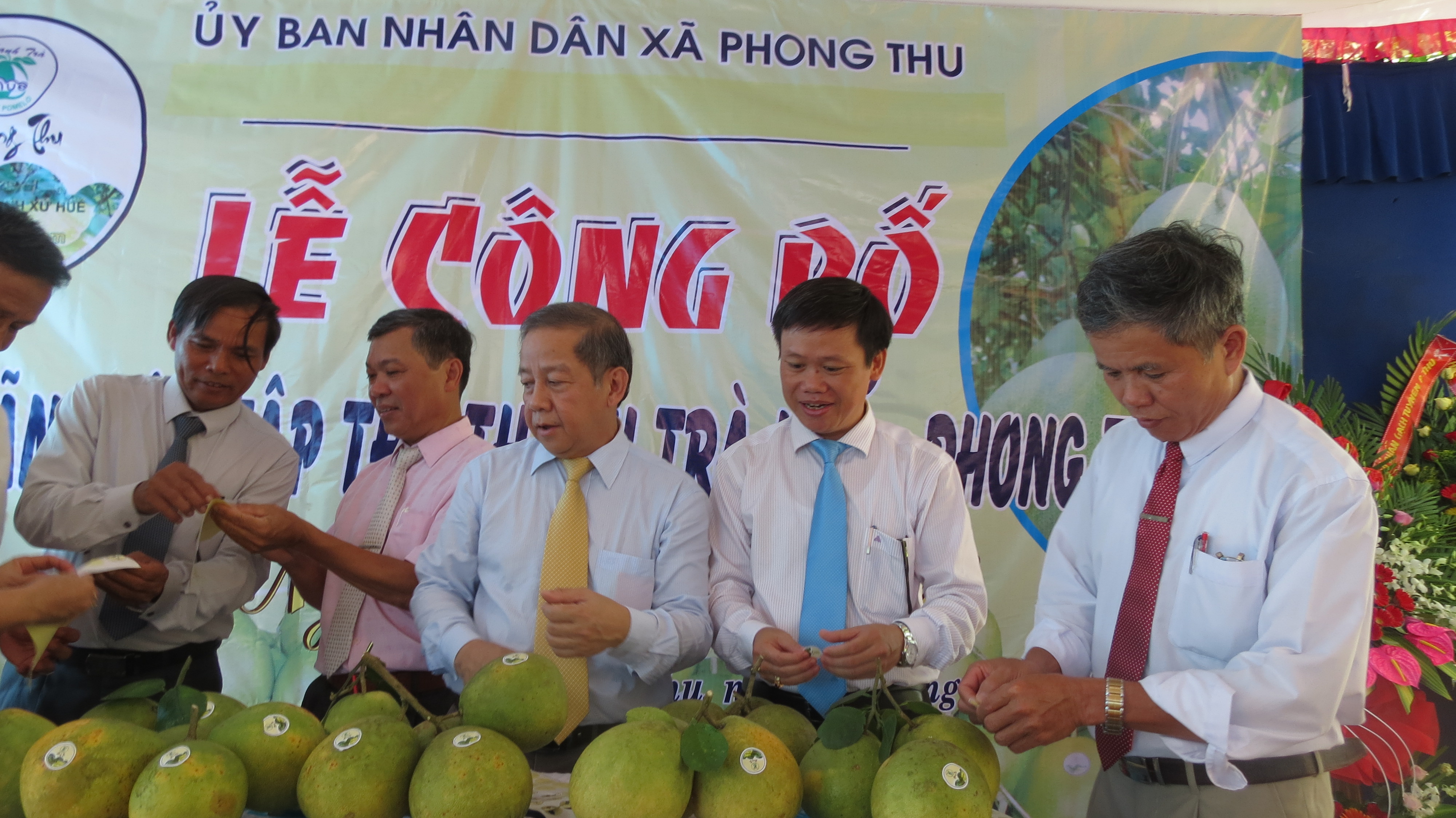 The Pomelo of Phong Thu granted the collective trademark