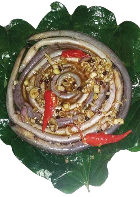 Lệch huyết phá Tam Giang