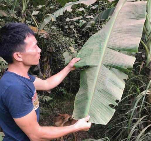 Sẽ tiếp tục điều chỉnh nhằm giảm thiểu lượng bụi thải ra môi trường