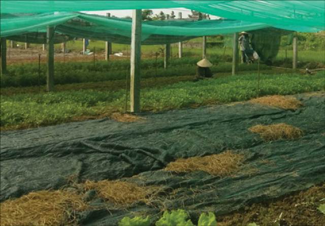 Giảm nỗi lo an toàn thực phẩm