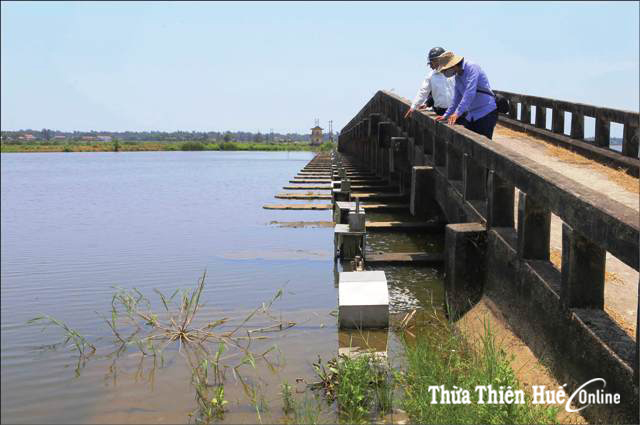 O Lau Estuary Conservation