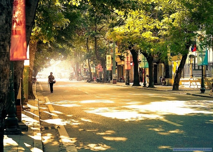 In the golden autumn light