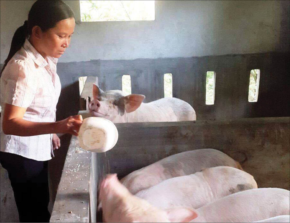 Thoát nghèo từ vốn vay qua kênh phụ nữ