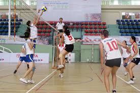 Xử lý dứt điểm tồn tại của Cty Thể dục thể thao Việt Nam