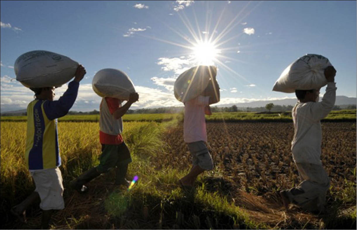 ASEAN+3 thông qua chiến lược đảm bảo an ninh lương thực