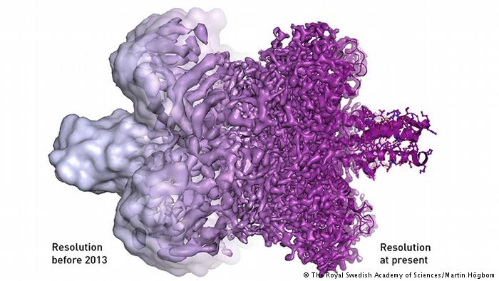 Kính hiển vi điện tử nghiệm lạnh giành giải Nobel Hóa học 2017