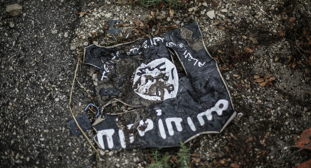 Hơn 91 lãnh thổ Syria được giải phóng khỏi IS