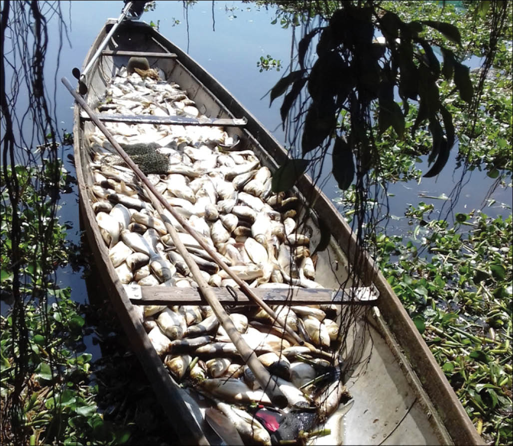 Hướng dẫn người dân xử lý tránh ảnh hưởng môi trường