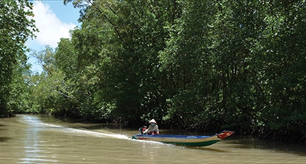 Về nơi “rừng biết đi”