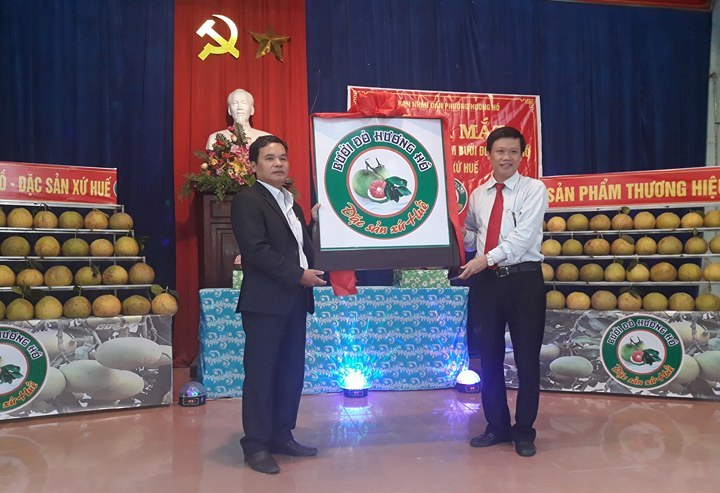 Launching Huong Ho red grapefruit brand name