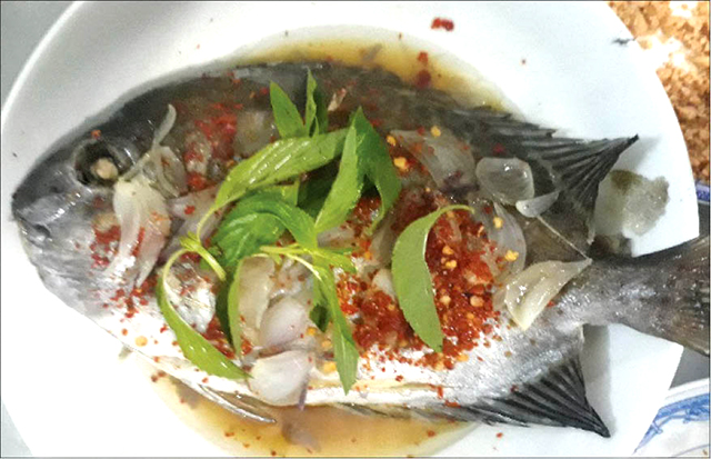 Nhung nhớ cá dìa