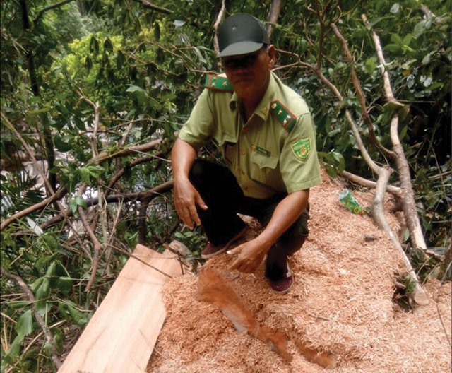 “Biệt đội” tuần rừng Thanh Tân