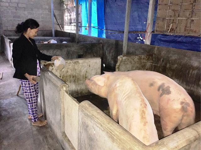 Người nghèo xin thoát nghèo