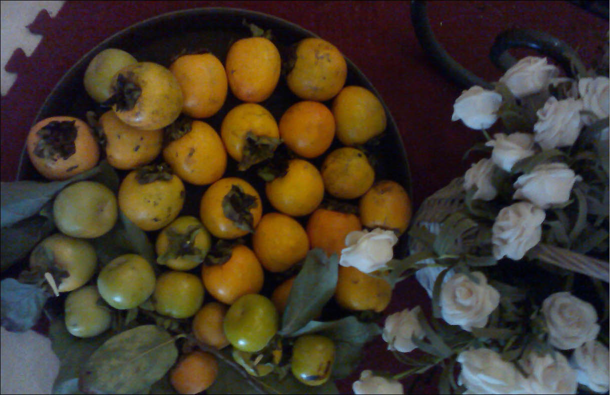 Persimmon season