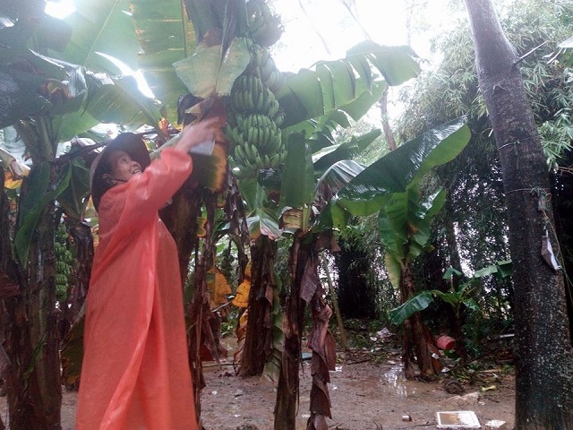 Ấm lòng ngày mưa lụt