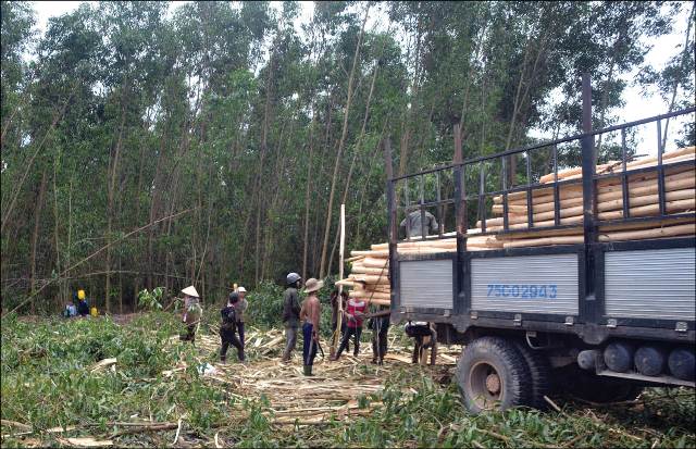 Các cơ quan chức năng đang thanh tra