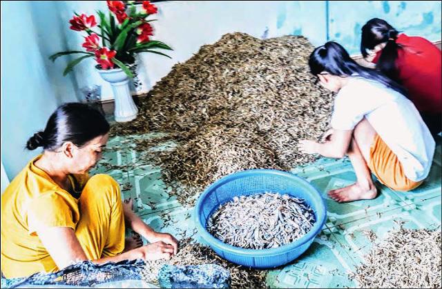Hiệu quả, an toàn