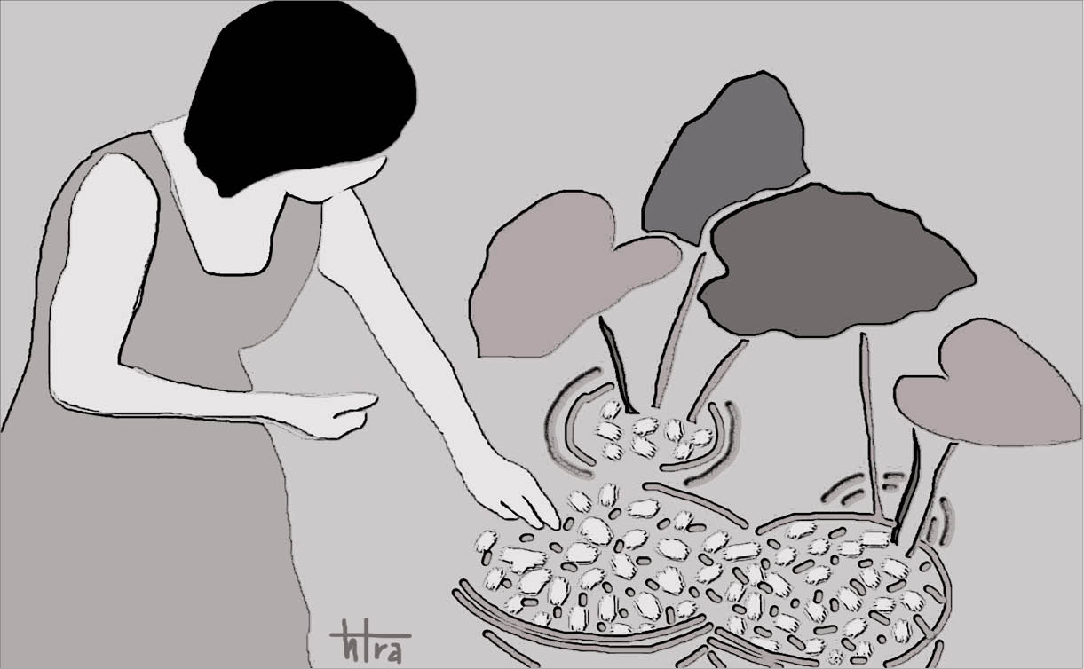 An toàn không khó