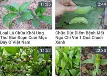 Đầy rẫy tin nhảm chữa lành bệnh ung thư thần kỳ