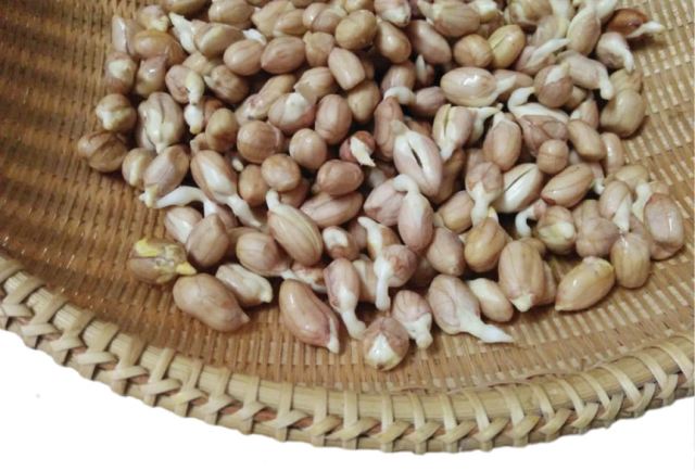 “Nhức răng” với mầm đậu phụng xào thịt bò