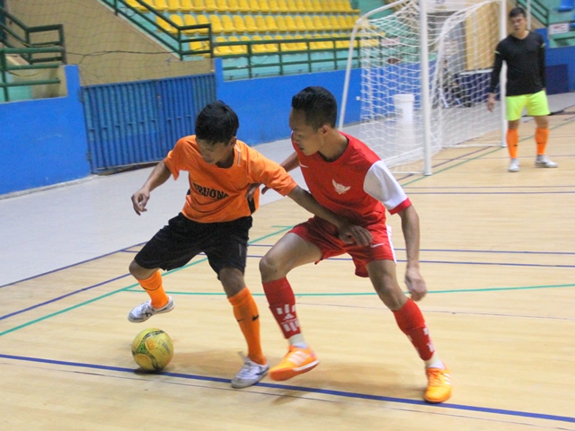 Plappy Bird FC vô địch Giải Bóng đá Futsal tỉnh năm 2017