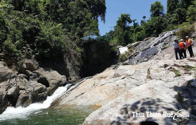 Phát triển thương mại, dịch vụ